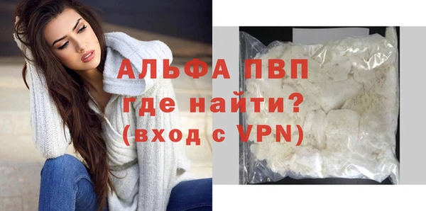 таблы Бородино