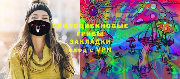 таблы Бородино