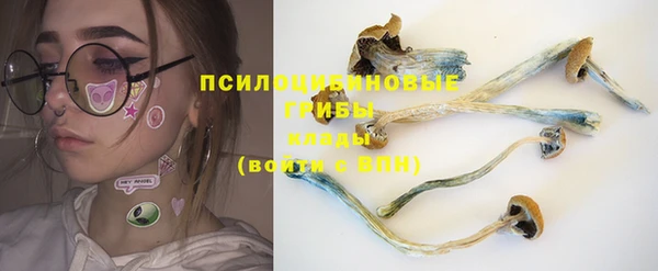МДПВ Бронницы