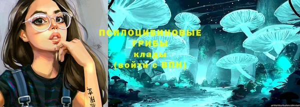 таблы Бородино