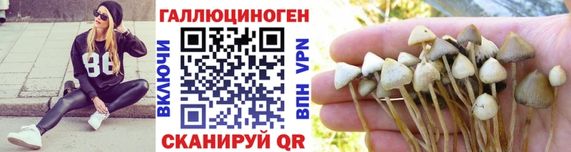 Купить закладки  Серафимович  Псилоцибиновые грибы Cubensis 